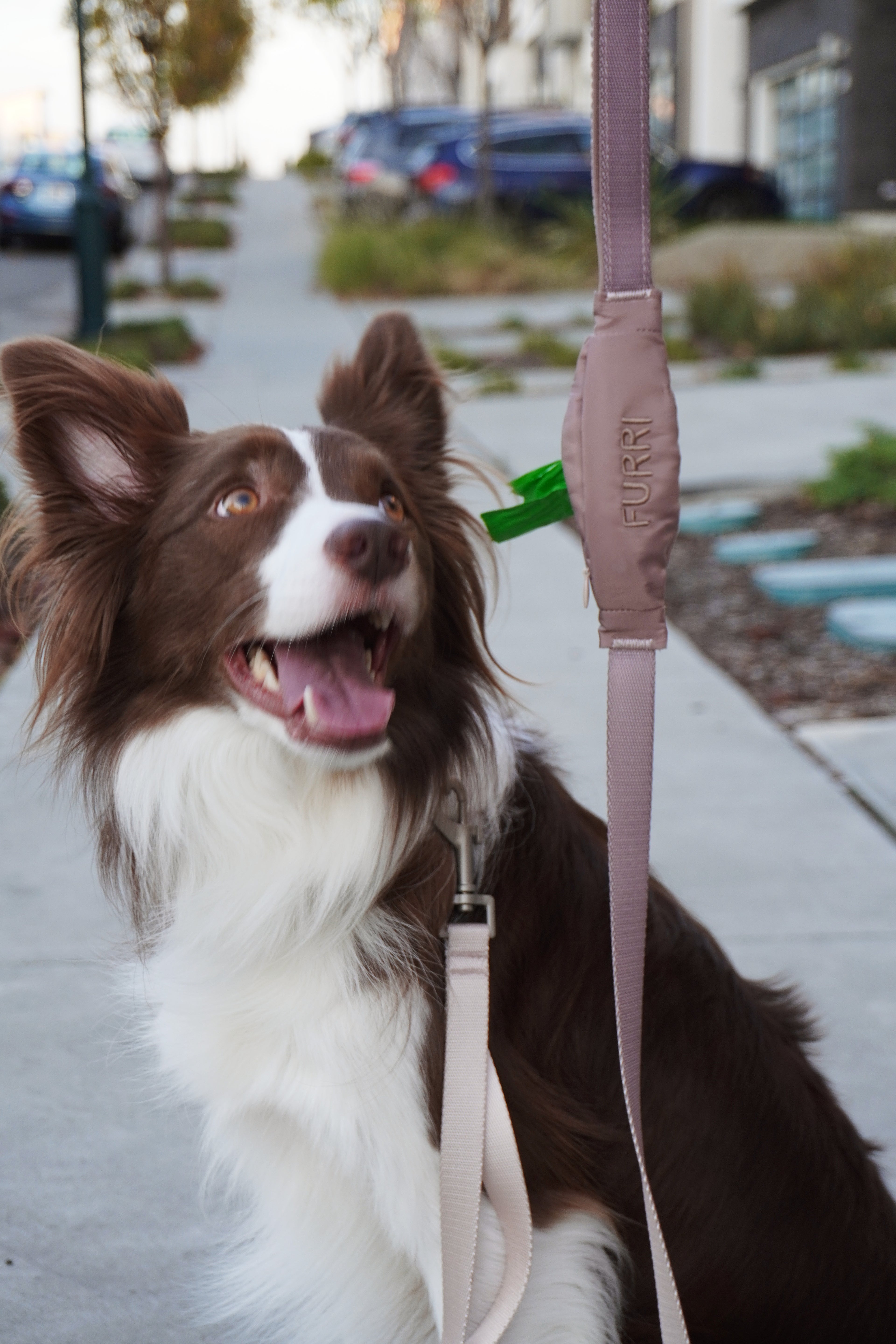 Dog leash with build-in Pouch | FURRI The One Leash