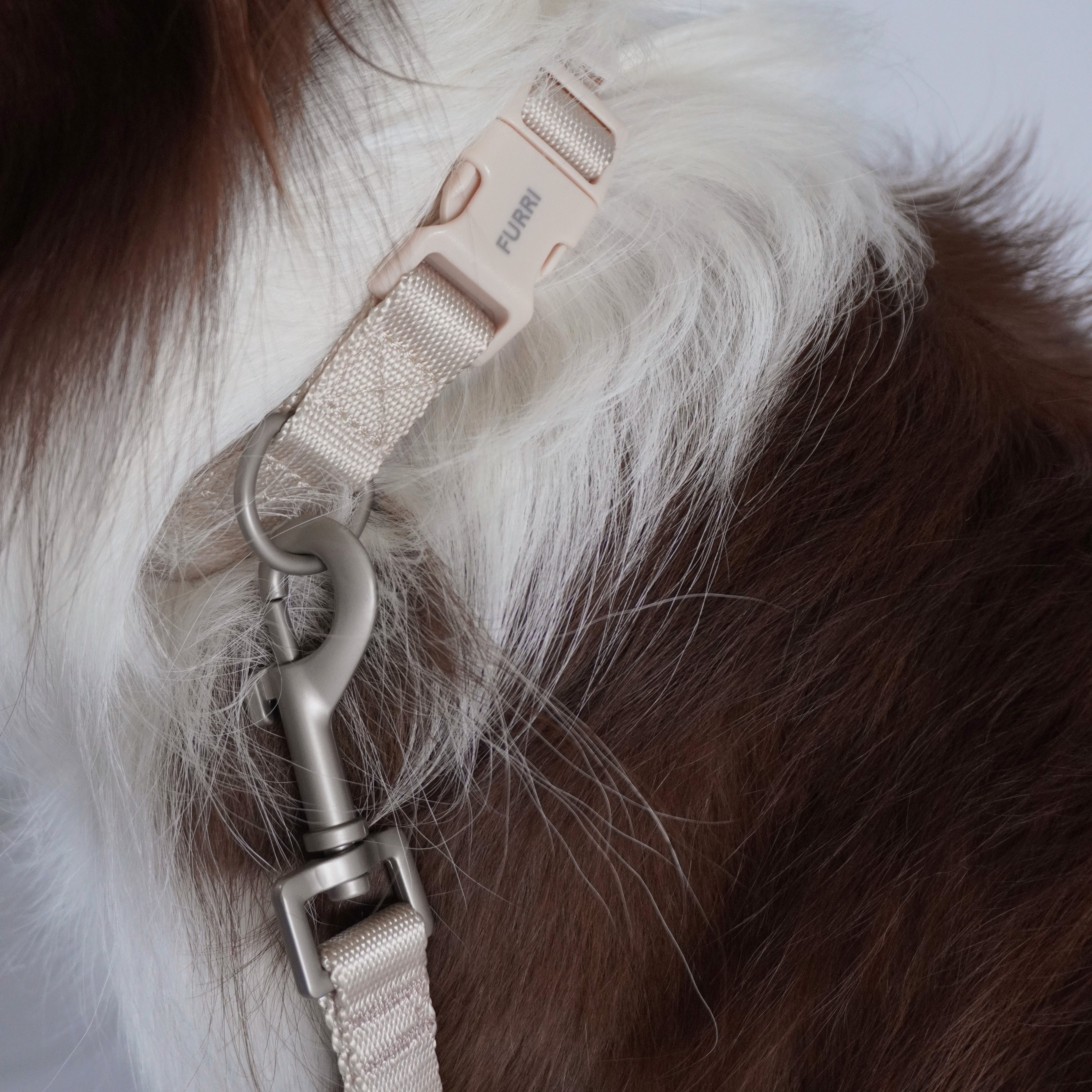 Dog Collar | FURRI the one collar