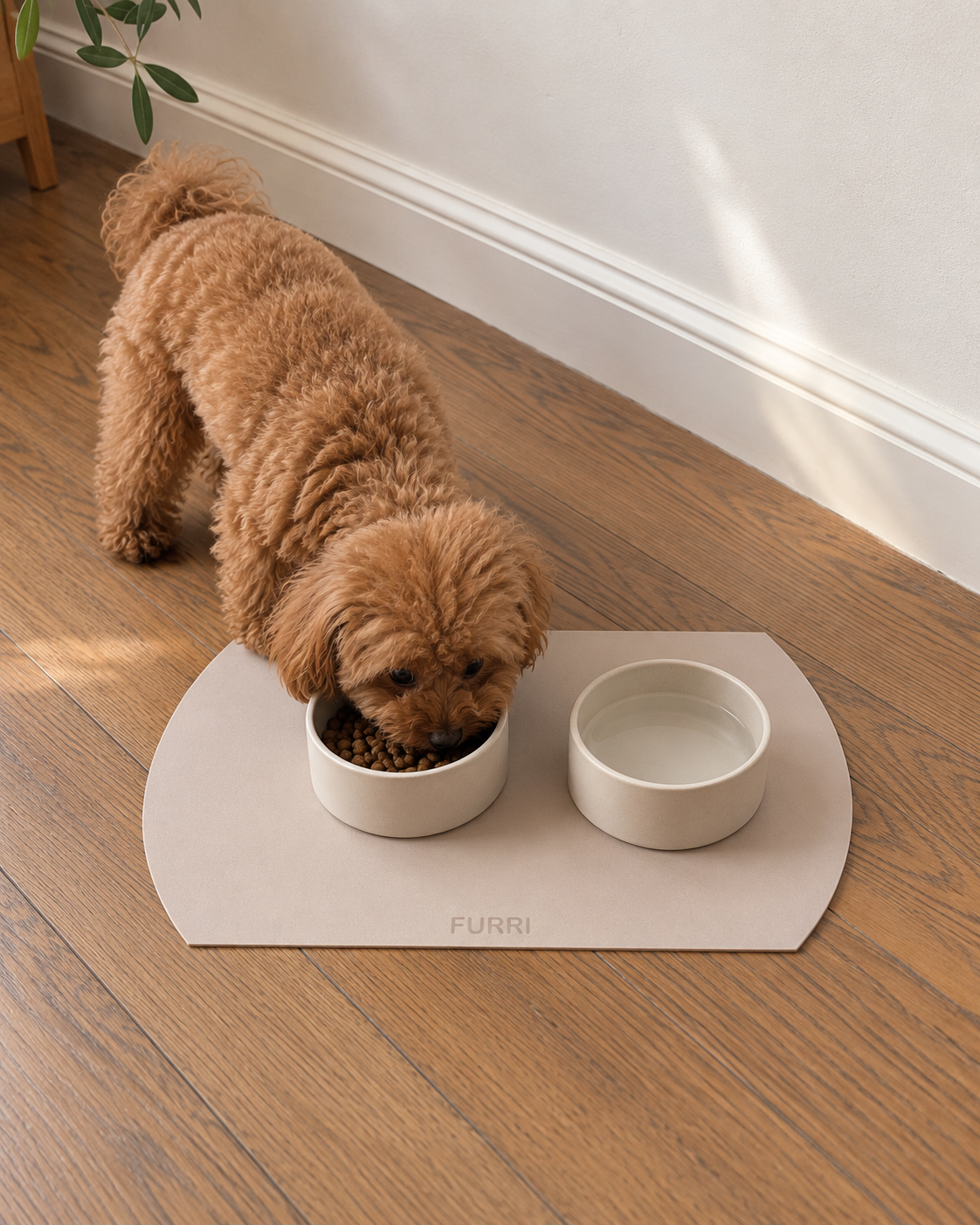 A small brown dog eats from a white bowl placed on a beige pet feeding mat with a second white bowl beside it, set on a wood floor against a white wall.