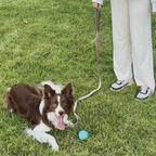 Furri Pet Collar and Leash Set