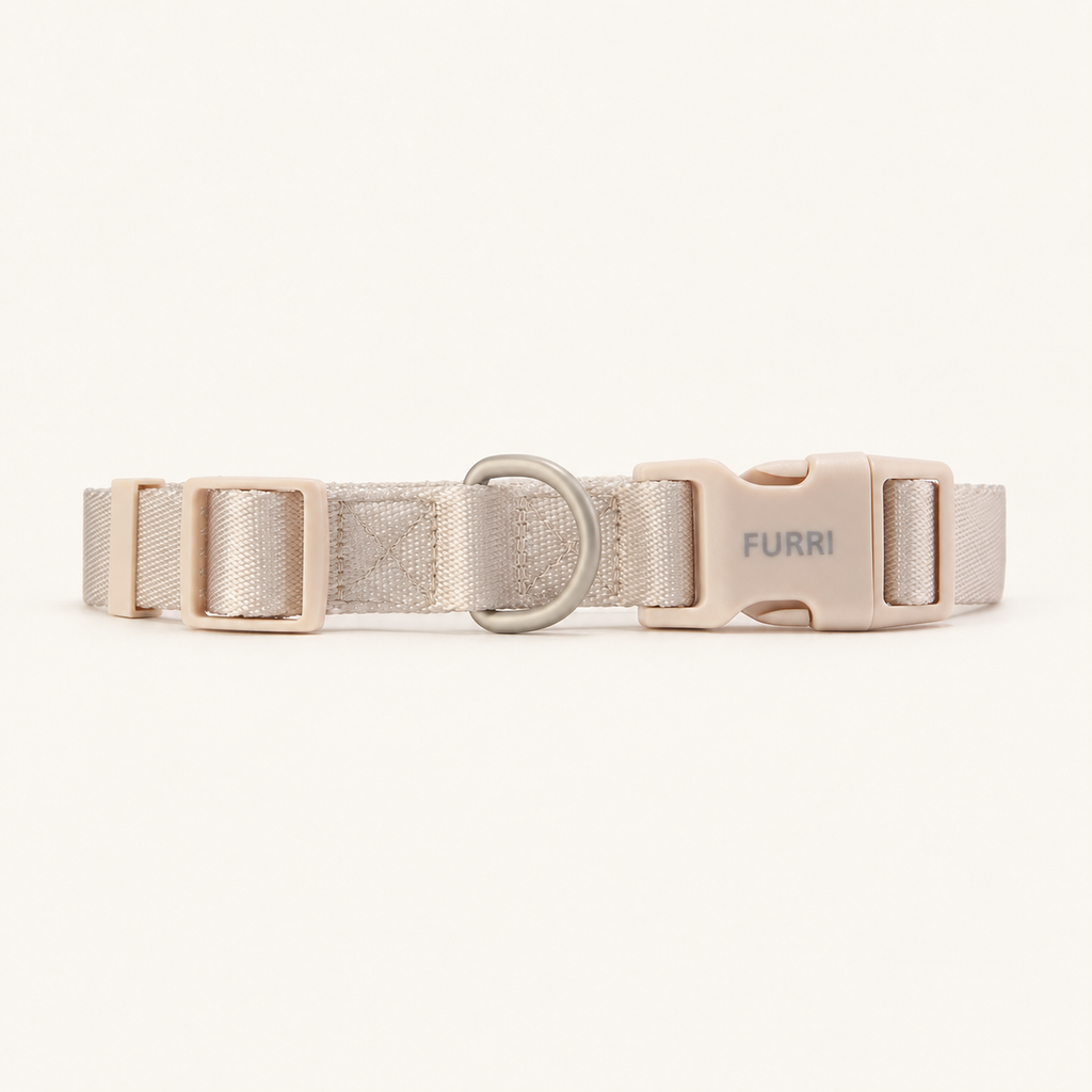 Dog Collar