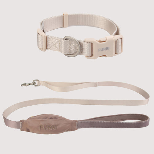 matching dog collar and leash set