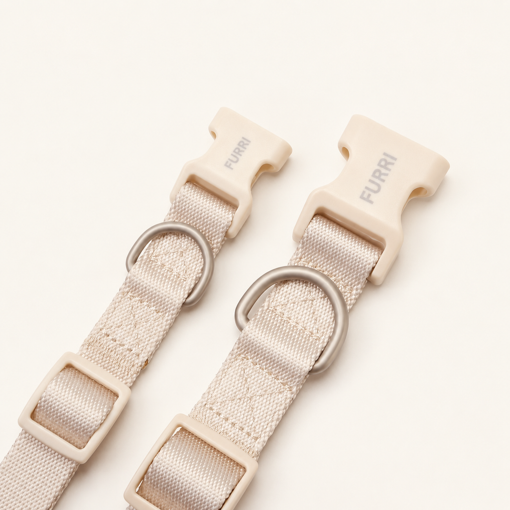 Dog Collar