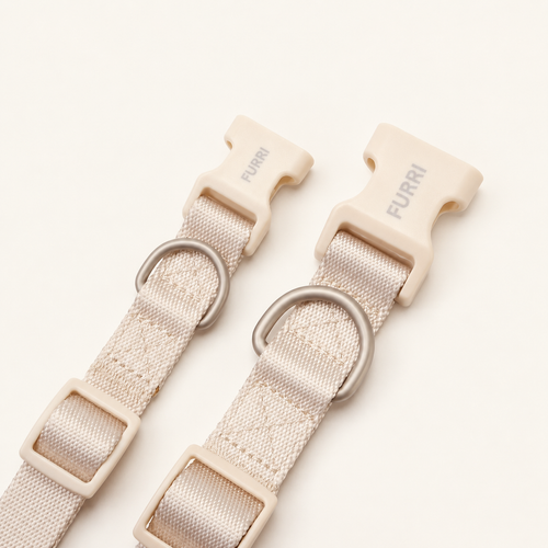 Dog Collar