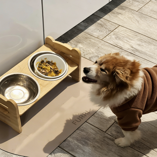Dog Feeding Mat