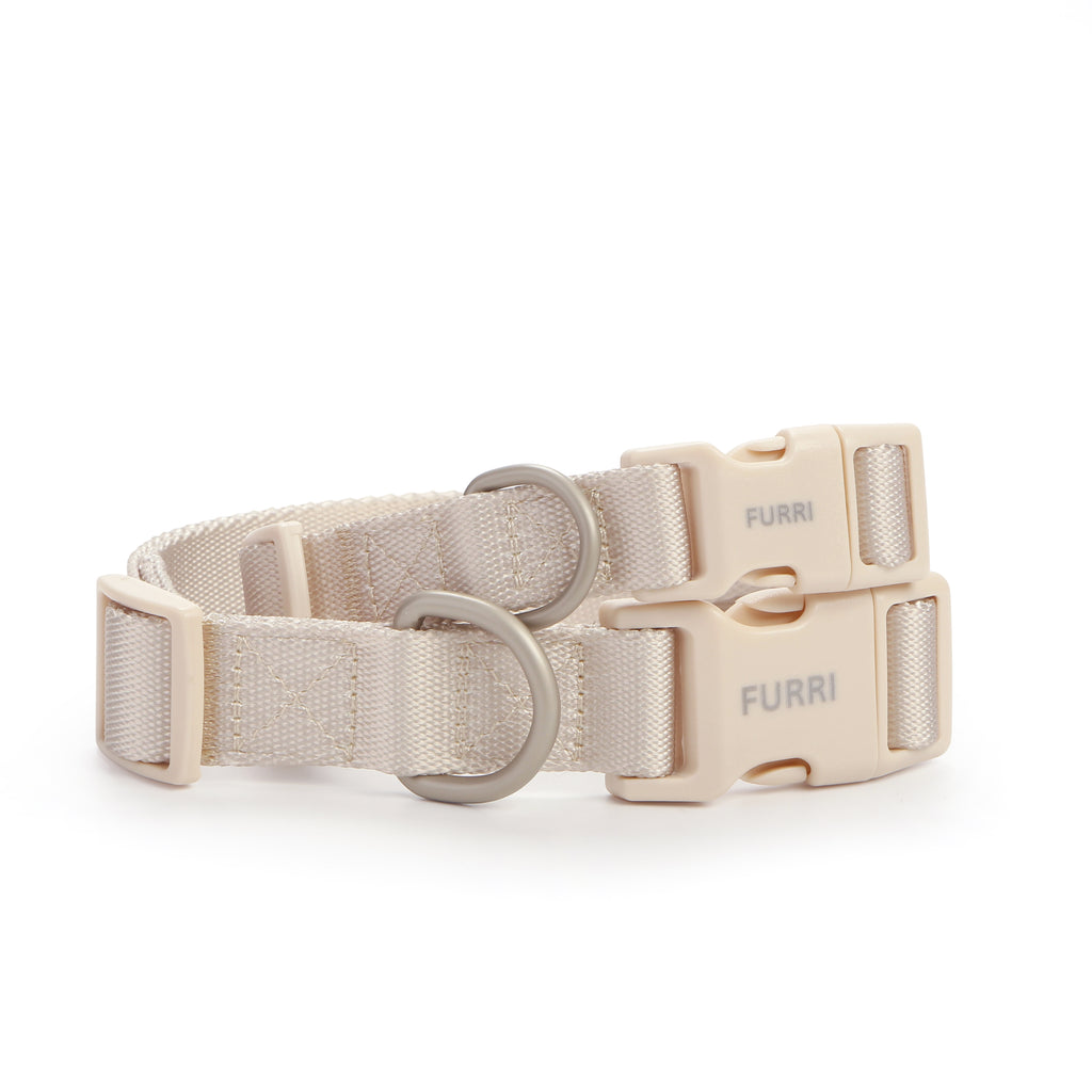 Dog Collar