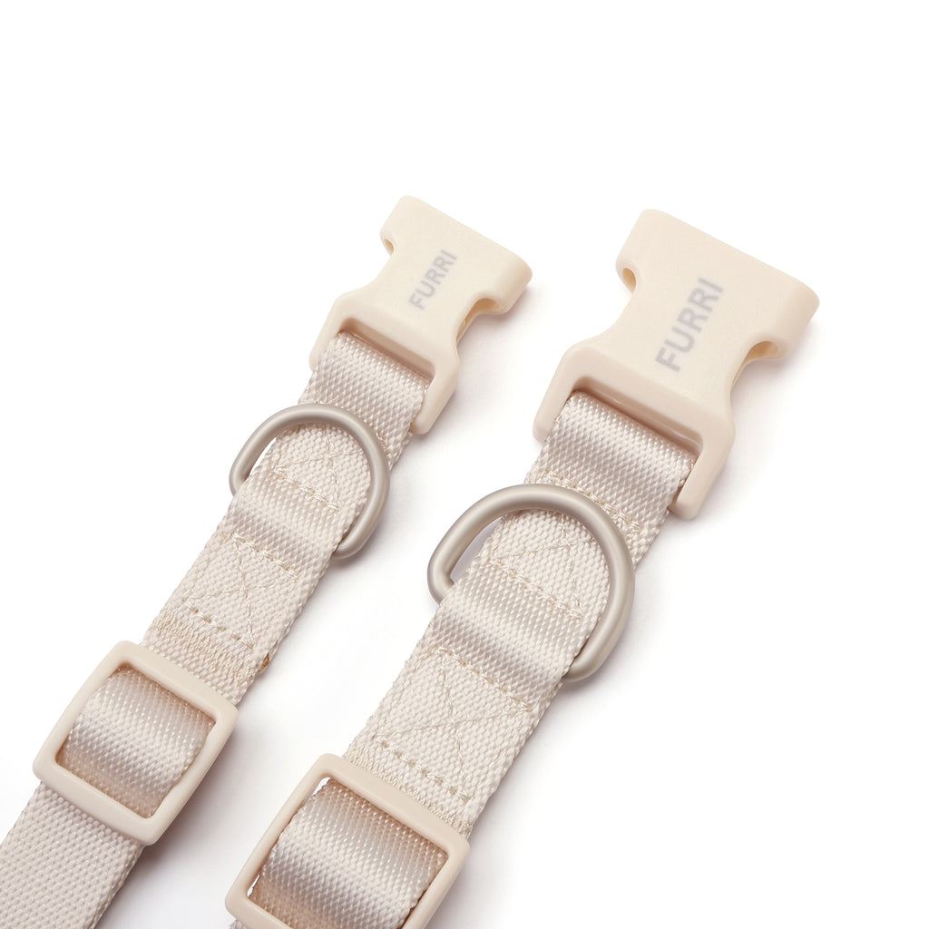 Dog Collar